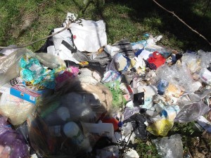 Rifiuti abbandonati Legnano